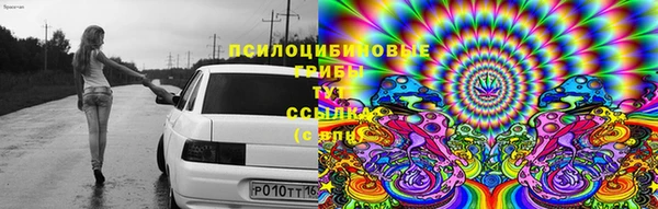 mix Абаза