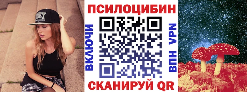 наркотики  Невельск  Галлюциногенные грибы Psilocybine cubensis 